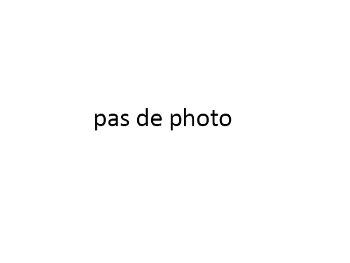 CHENE FLOTTANT CHENE EXQUISIT 180X13,5X2200mm