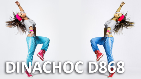 DINACHOC D868 - Chape sèche spécialement adaptée aux salles de sport