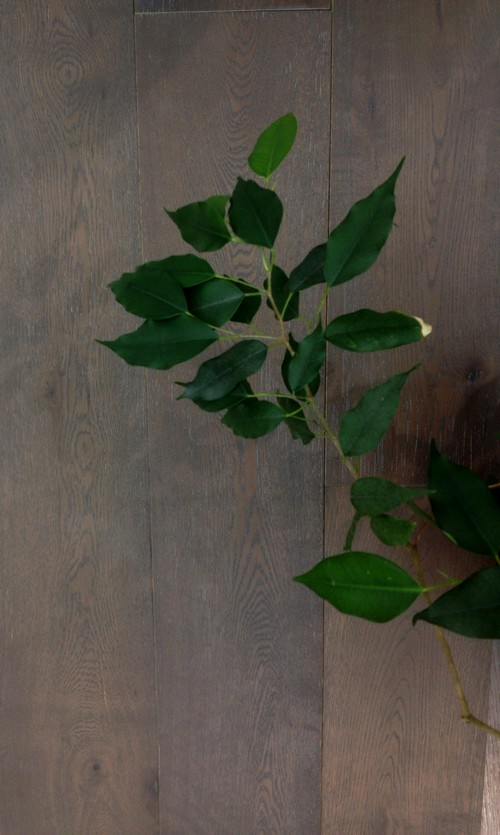 chêne massif choco glace verni brossé 180x20mm - pour le lot de 45.54 m2