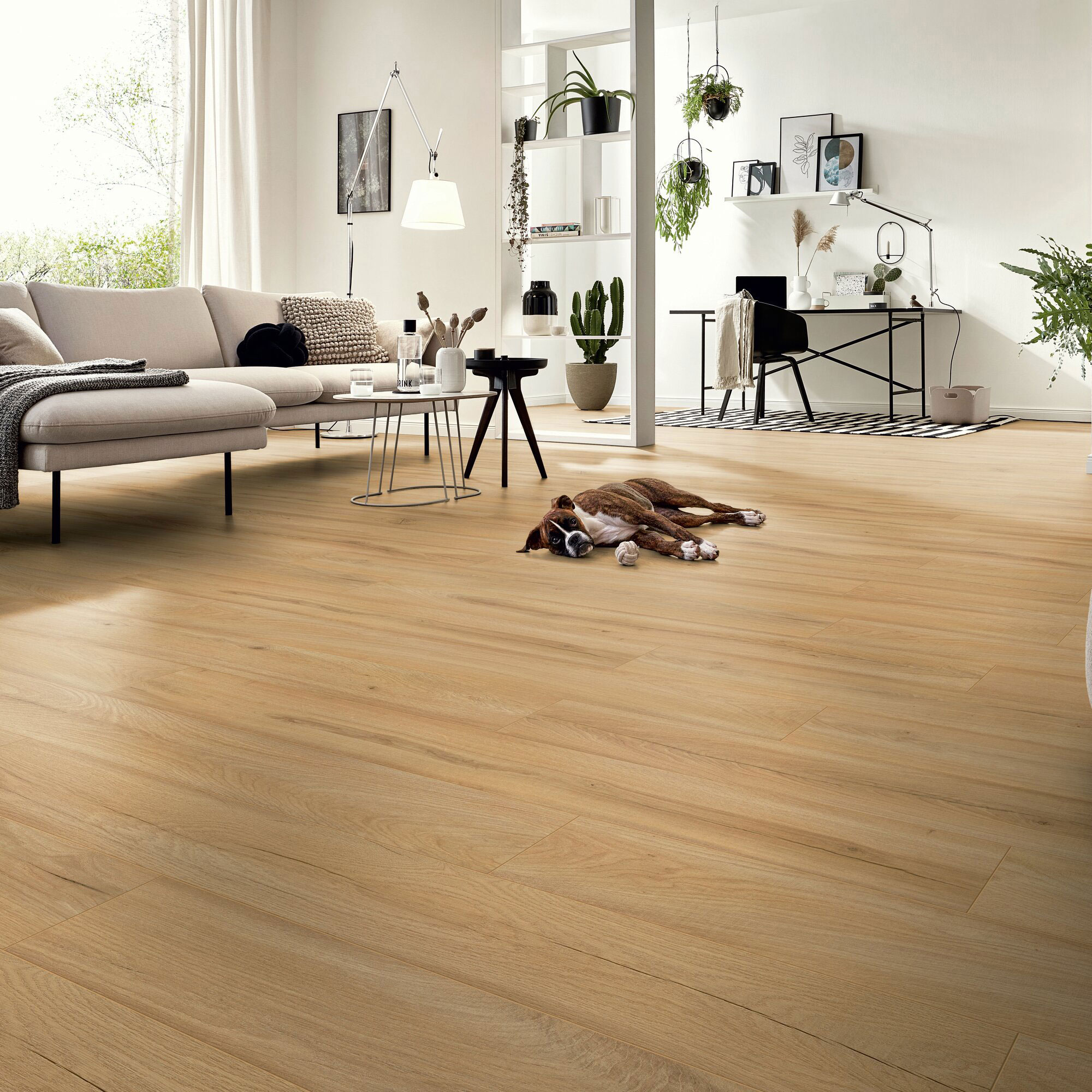 parquet sol stratifie decoart - ch�ne de ferme beige - gamme milan - 1380mmx193mmx8mm - certifié pefc 70%