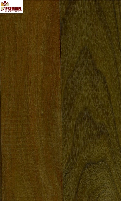parquet-en-h�tre